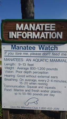 Crane Creek Promenade Manatee Observation Area